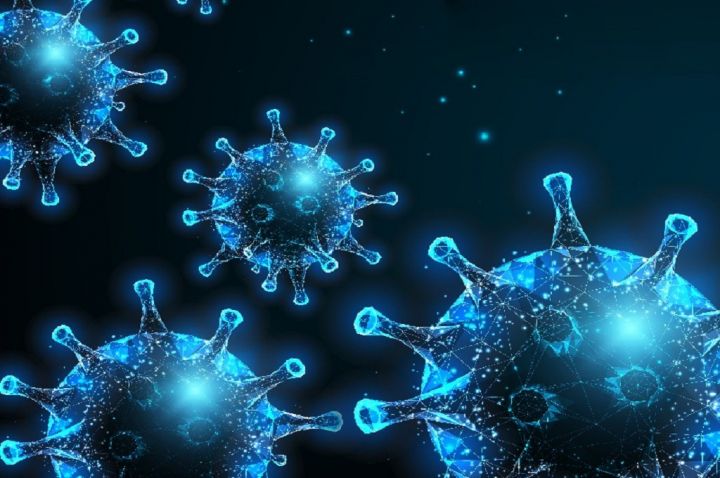 Fasilitas ruang isolasi dan kesiapan tenaga medis di salah satu RSUD Kabupaten Tangerang dalam menghadapi potensi wabah penyakit menular hantavirus.